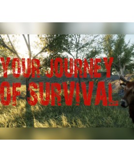 Your Journey of Survival Steam Key GLOBAL